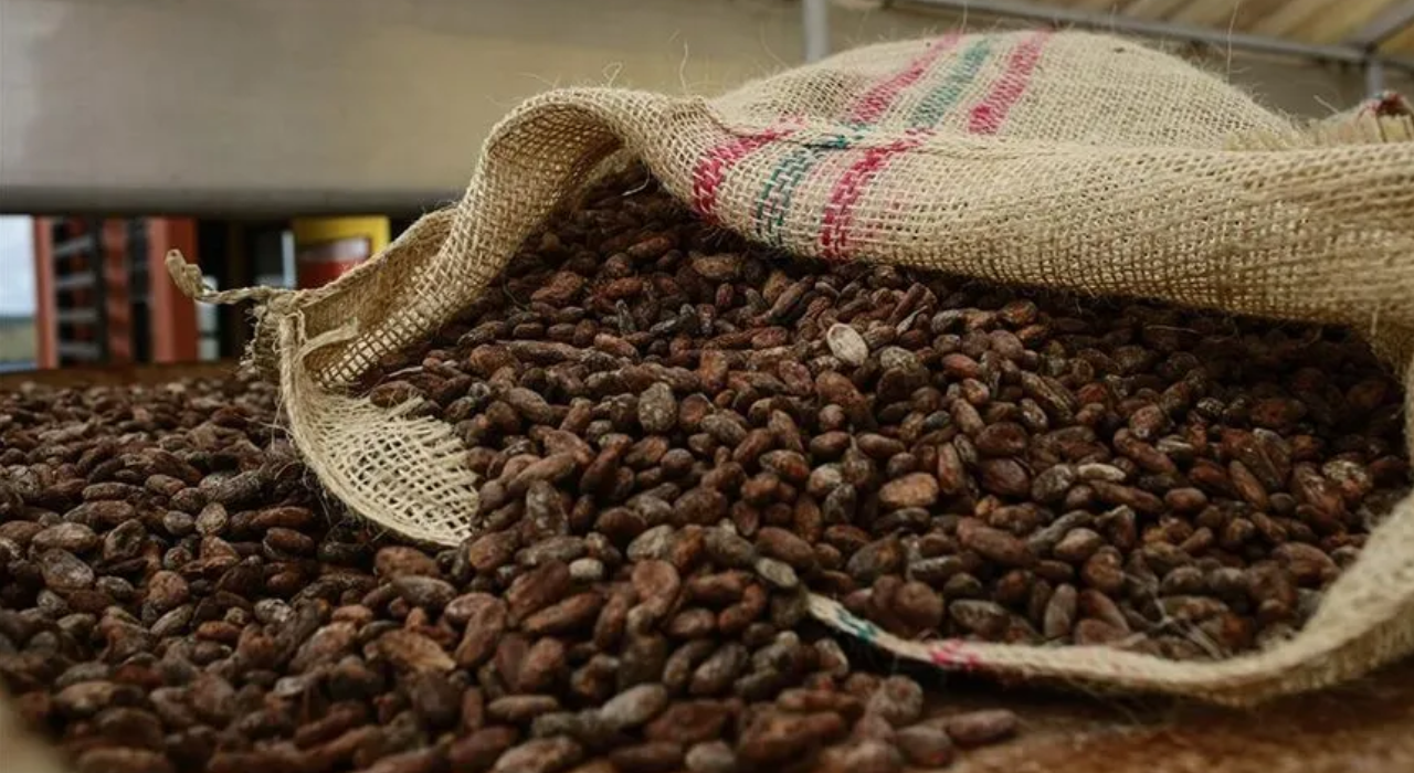 Cacau e café sobem com riscos climáticos
