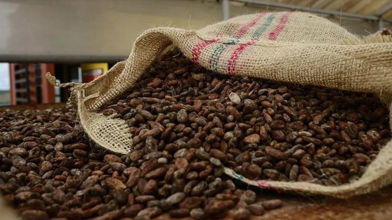 Cacau e café sobem com riscos climáticos